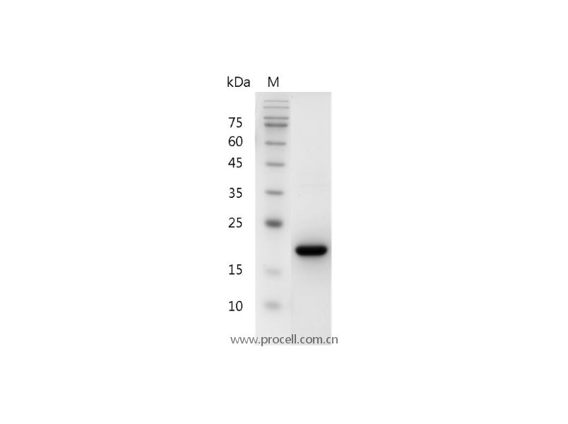 https://789.bio/ec/ROx1O8