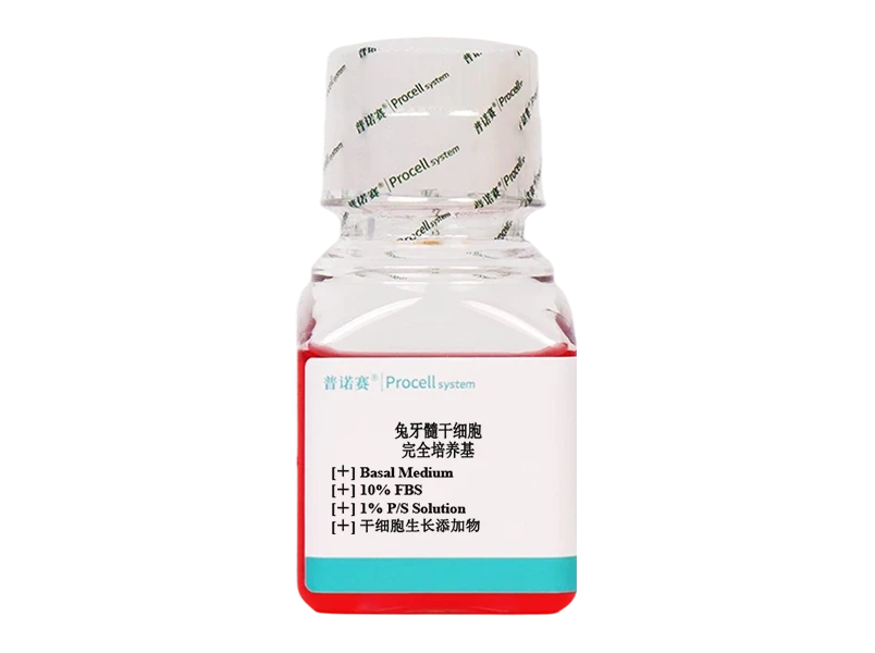https://789.bio/ec/RQHfhA0P