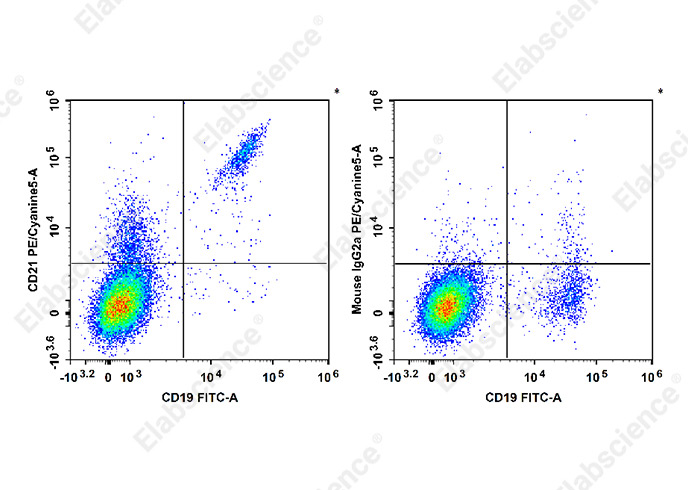 PE/Cyanine5 Anti-Human CD21 Antibody[HI21a]-1