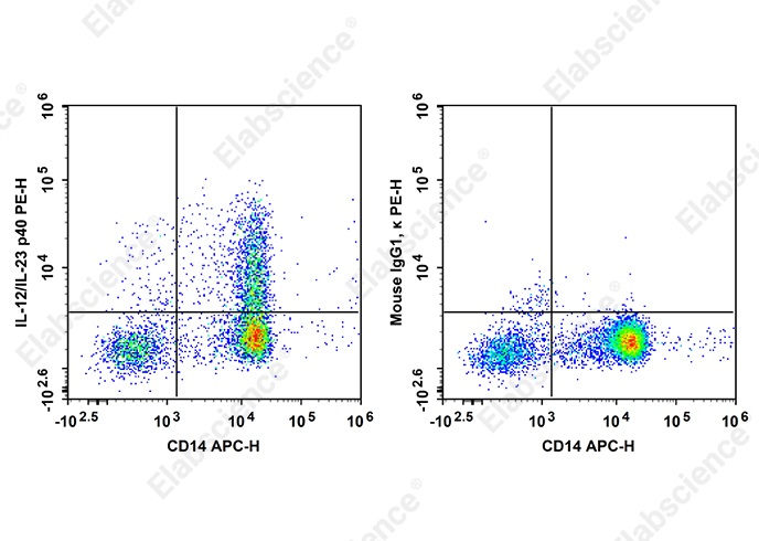 PE Anti-Human IL-12/IL-23 p40 Antibody[C11.5]-searchlist-1