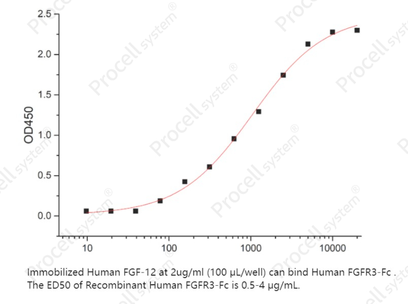 FGFR-3/CD333/FGFR3 (C-Fc), Human, RecombinantFGFR-3/CD333/FGFR3 (C-Fc), Human, Recombinant - 2