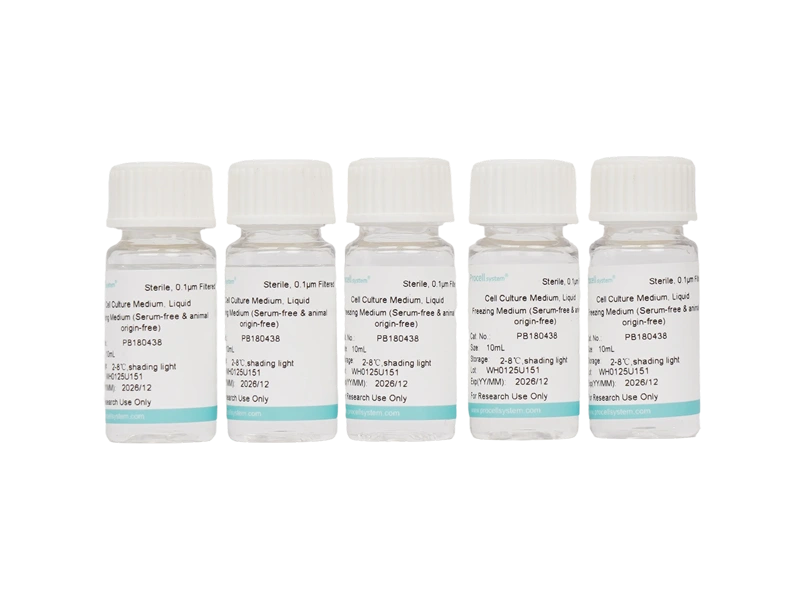 Freezing Medium (Serum-free & animal origin-free) - 2
