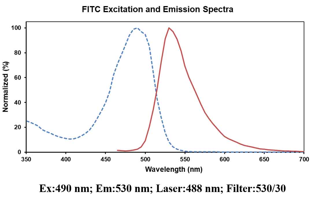 FITC-11-dUTP-1