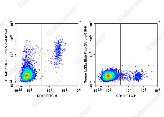 Elab Fluor® Violet 610 Anti-Human HLA-DR Antibody[L243]-1