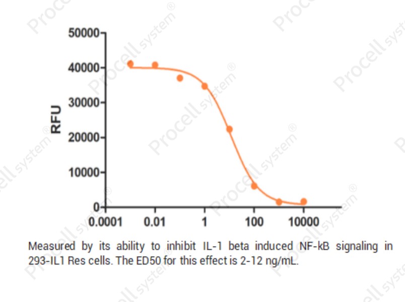 IL-1RA/ICIL-1RA/IRAP/IL-1RN, Human, RecombinantIL-1RA/ICIL-1RA/IRAP/IL-1RN, Human, Recombinant - 2