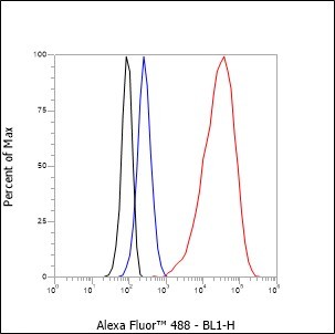 Recombinant Keratin 20 Monoclonal Antibody - small - 5