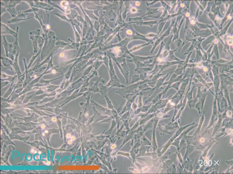 Super Tube Cell Complete Medium - 5