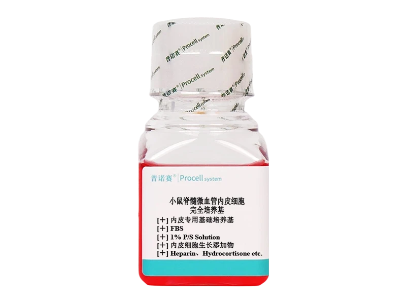 https://789.bio/ec/RgcSpOVy