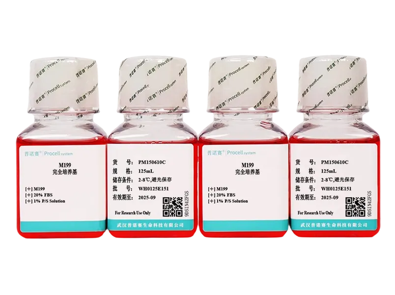 https://789.bio/ec/Rkg0VkTr