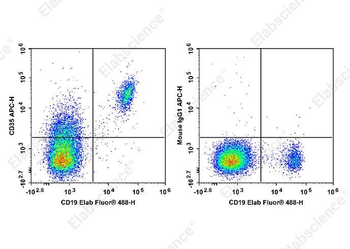 APC Anti-Human CD35 Antibody[E11]-1