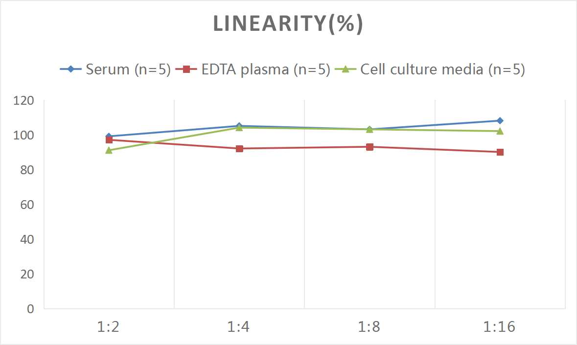 Rat IL-18(Interleukin 18) ELISA Kit-1