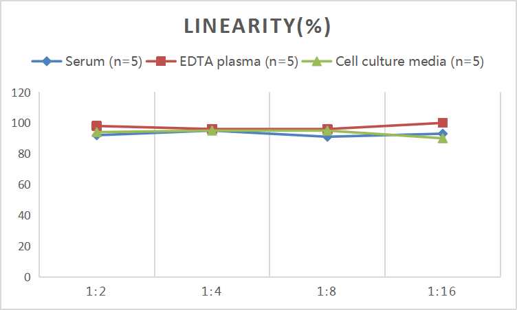 Mini Sample Human IL-6 (Interleukin 6) ELISA Kit - small - 2