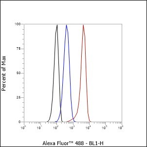 Recombinant COX IV Monoclonal Antibody - small - 5