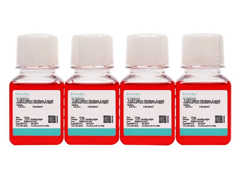 Rabbit Brain Venous Endothelial Cell Complete Medium - small - 2
