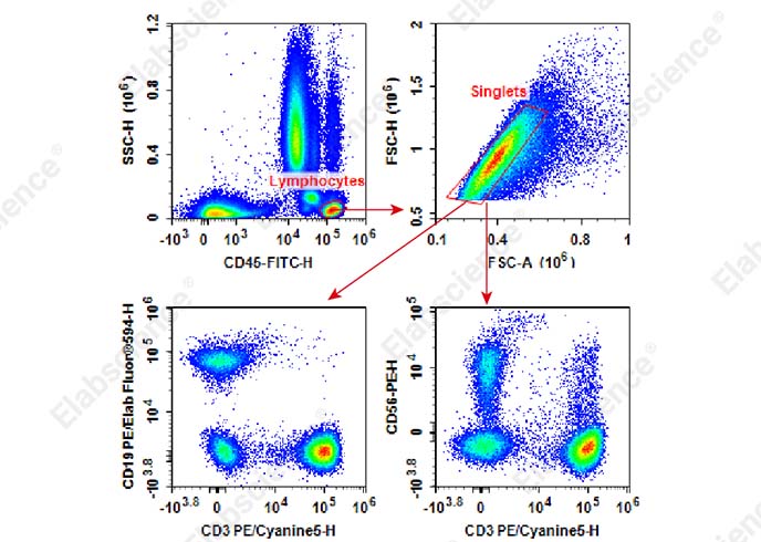 Anti-Human CD45-FITC/CD3-PE/Cyanine5/CD56/NCAM-PE/CD19-PE/Elab Fluor<sup>®</sup> 594 Cocktail-searchlist-1