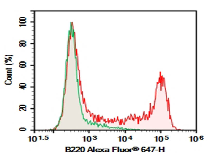 Purified Anti-Mouse CD45R/B220 Antibody[RA3.3A 1/6.1] - 1