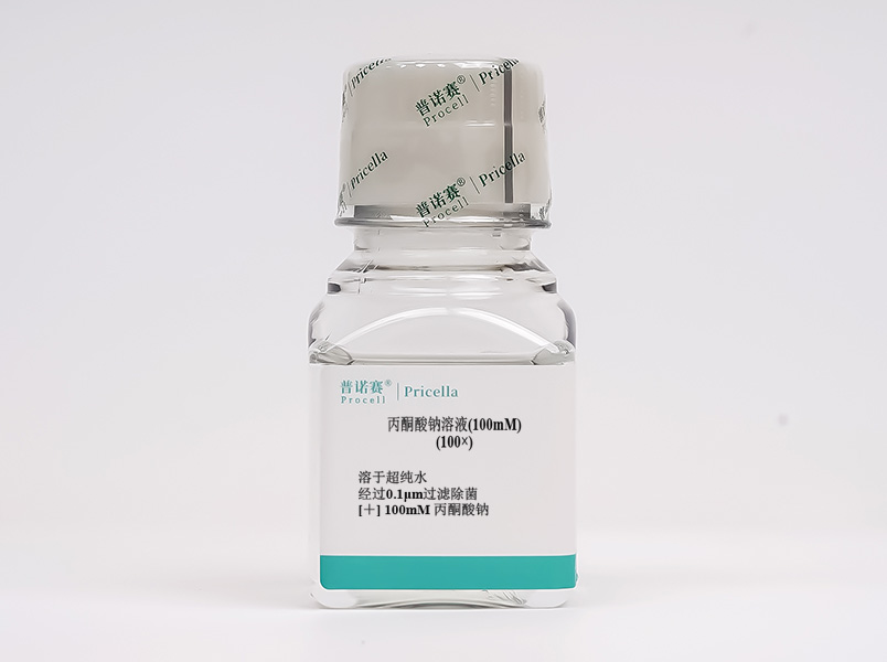 https://789.bio/ec/Rt1GGR