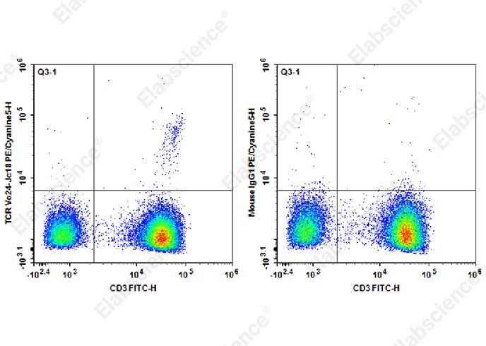 PE/Cyanine5 Anti-Human TCR Vα24-Jα18 Antibody[6B11]-1