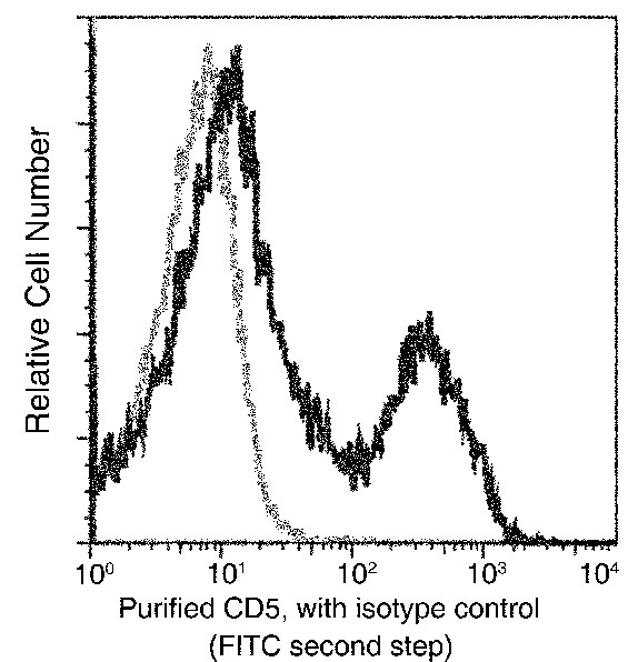 Recombinant CD5/Cluster of Differentiation 5 Monoclonal Antibody - small - 2