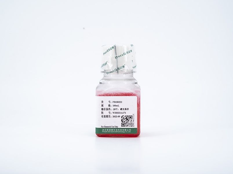 https://789.bio/ec/Rtuae9
