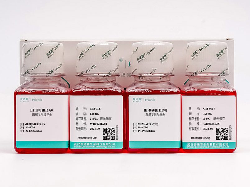 https://789.bio/ec/Rx5ZyH