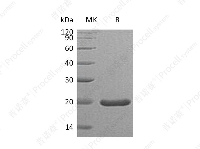 https://789.bio/ec/RxPdyD