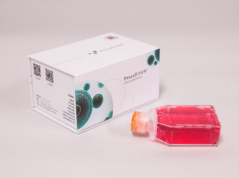 https://789.bio/ec/RxySR0