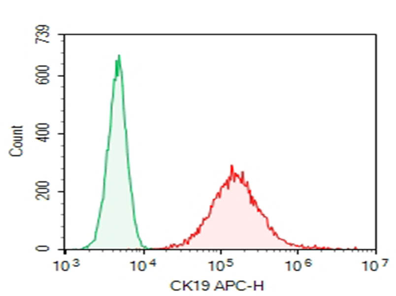 MCF-7 cells were stained with 0.2 ug Purified Anti-Human CK19 Antibody[HI2G2] (Right) and 0.2 ug Mouse IgG2b, &kappa; Isotype Control(Left), followed by APC-conjugated Goat Anti-Mouse IgG Secondary Antibody.