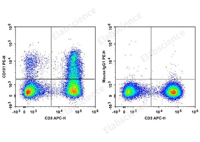 Human peripheral blood lymphocytes are stained with APC Anti-Human CD3 Antibody and PE Anti-Human CD101 Antibody[BB27] (Left). Lymphocytes are stained with APC Anti-Human CD3 Antibody and PE Mouse IgG1, κ Isotype Control (Right).