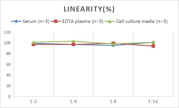 Mouse MBL (Mannose Binding Lectin) ELISA Kit - small - 2
