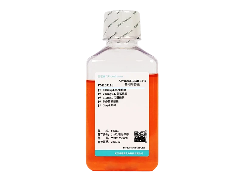 https://789.bio/ec/SCcYU418