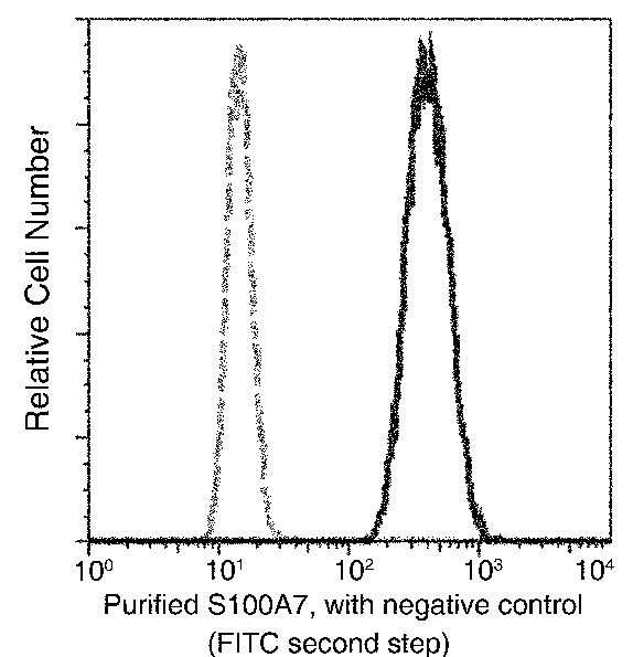 Recombinant S100A7 Monoclonal Antibody - small - 2