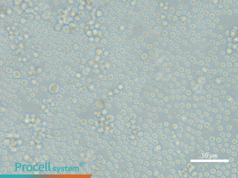 L1210 Cell Complete Medium - small - 4
