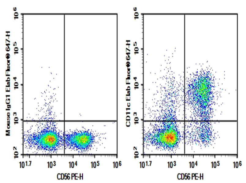 Purified Anti-Human CD11c Antibody[BU15]-1