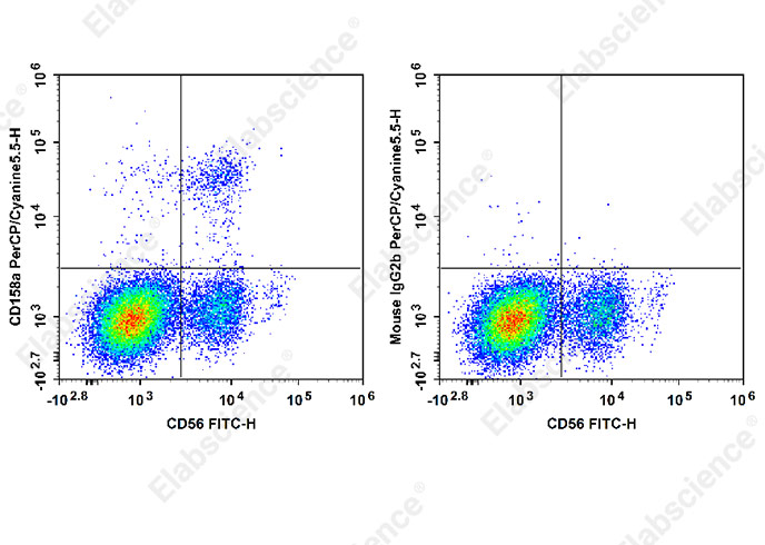 PerCP/Cyanine5.5 Anti-Human CD158/KIR2DL1 Antibody[HP-MA4]-1