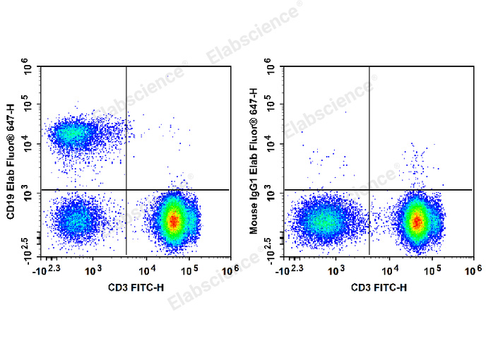 Human peripheral blood lymphocytes are stained with FITC Anti-Human CD3 Antibody and Elab Fluor® 647 Anti-Human CD19 Antibody (Left). Lymphocytes are stained with FITC Anti-Human CD3 Antibody and Elab Fluor® 647 Mouse IgG1, κ Isotype Control (Right).