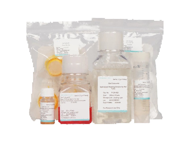 Rat Temporomandibular Joint Chondrocyte Isolation and Culture Kit - 1