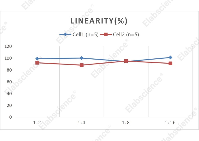 CellaQuant™ Human IL-2 (Interleukin 2) ELISA Kit - 2