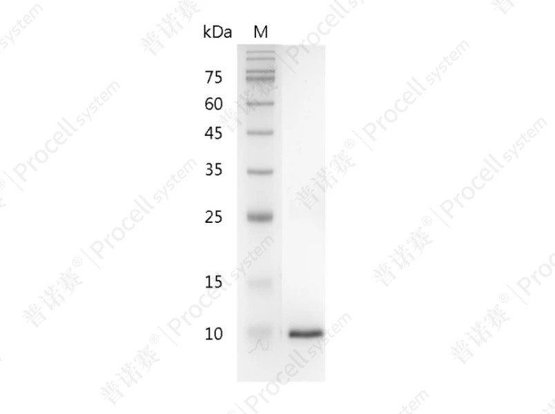 https://789.bio/ec/SR44h1
