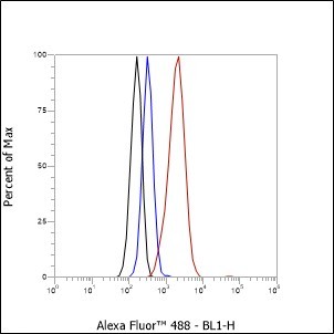Recombinant TROP2 Monoclonal Antibody - small - 6