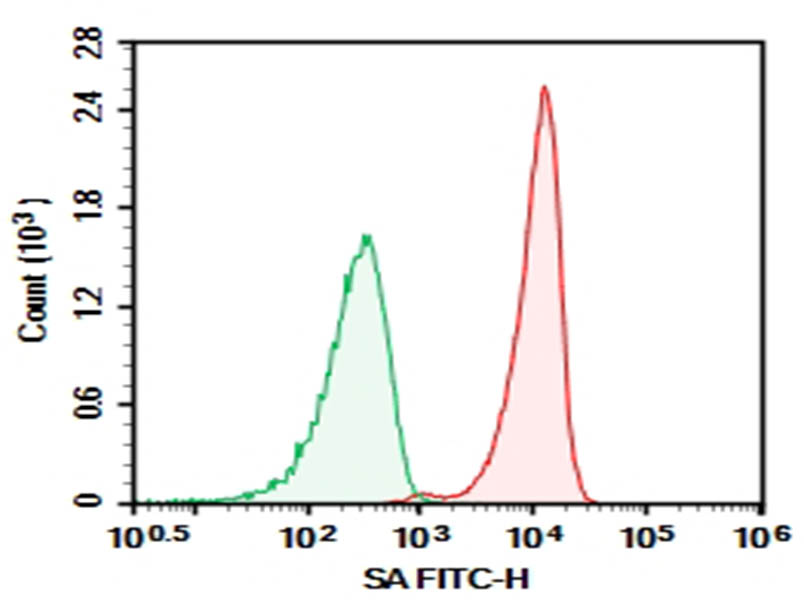 AF/LE Purified Anti-Human/Mouse CD44 Antibody[IM7]-产品推荐-6