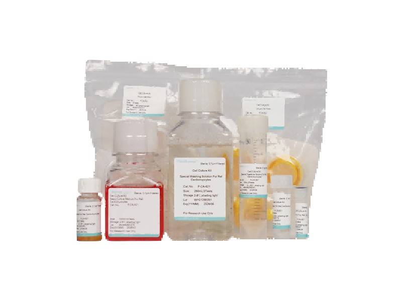 Rat Cardiomyocyte Isolation and Culture Kit