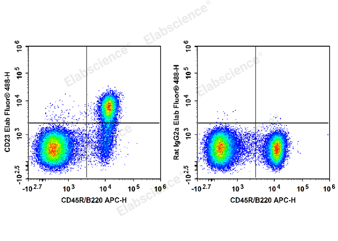 C57BL/6 murine splenocytes are stained with APC Anti-Mouse CD45R/B220 Antibody and Elab Fluor® 488 Anti-Mouse CD23 Antibody (Left). Splenocytes are stained with APC Anti-Mouse CD45R/B220 Antibody and Elab Fluor® 488 Rat IgG2a, κ Isotype Control (Right).