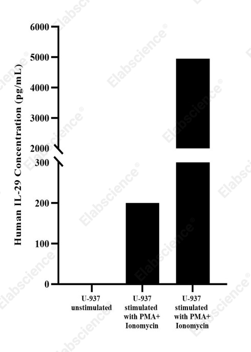 Uncoated Human IL-29(Interleukin 29) ELISA Kit - 3
