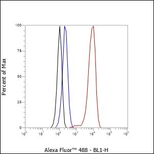Recombinant CSDE1 Monoclonal Antibody - 3