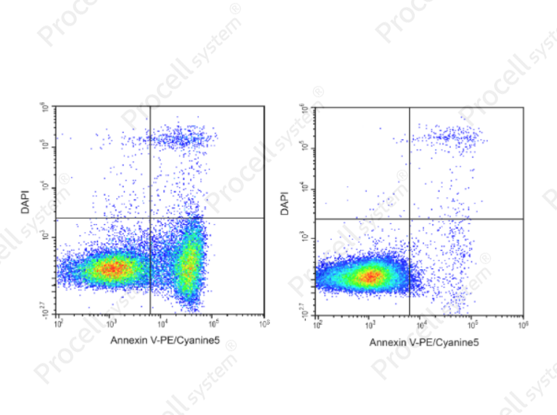 Annexin V-PE/Cyanine5 Reagent