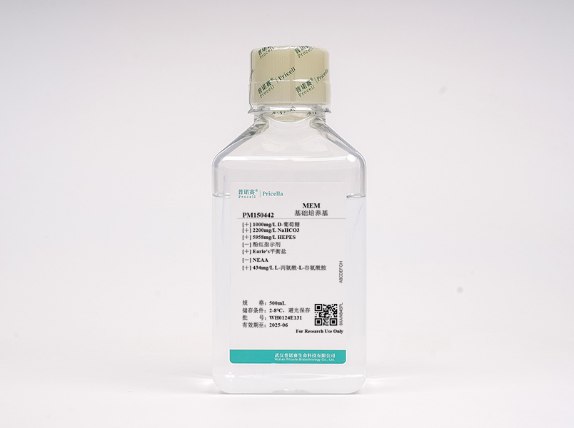 https://789.bio/ec/SZLR84