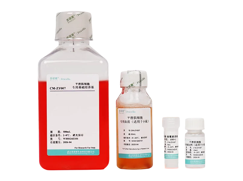 https://789.bio/ec/SZP8RR