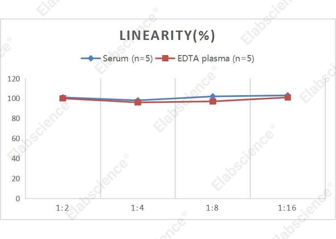 QuicKey Pro Human NRP1 (Neuropilin 1) ELISA Kit - 2