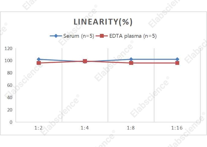 QuicKey Pro Human HO1 (Heme Oxygenase 1) ELISA Kit - 2